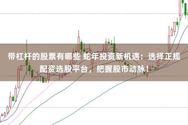带杠杆的股票有哪些 蛇年投资新机遇：选择正规配资选股平台，把握股市动脉！