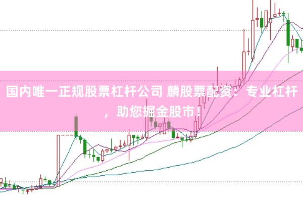 国内唯一正规股票杠杆公司 麟股票配资：专业杠杆，助您掘金股市！