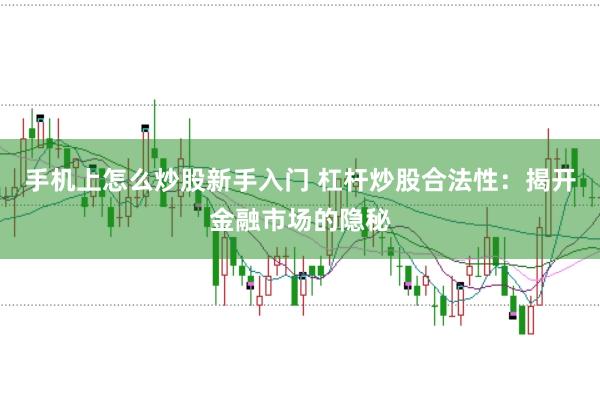 手机上怎么炒股新手入门 杠杆炒股合法性：揭开金融市场的隐秘