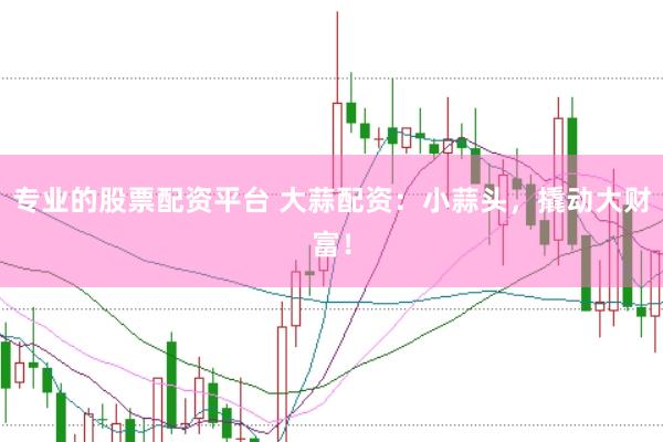 专业的股票配资平台 大蒜配资：小蒜头，撬动大财富！