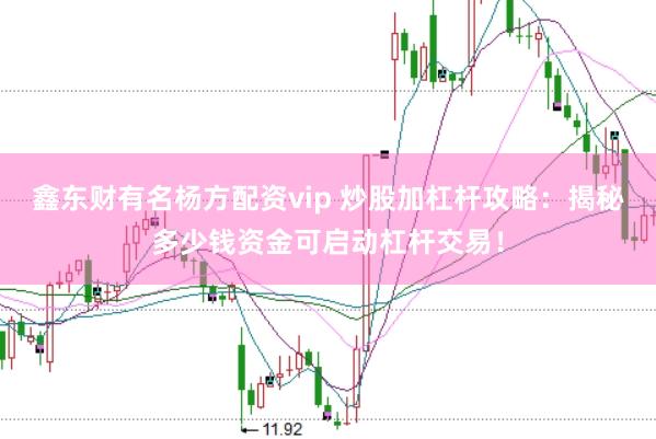 鑫东财有名杨方配资vip 炒股加杠杆攻略：揭秘多少钱资金可启动杠杆交易！